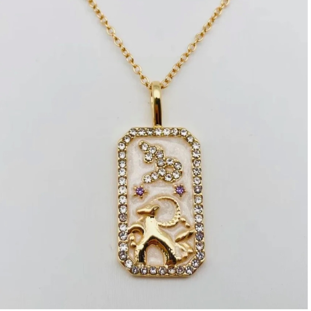Capricorn Astrological Zodiac Tarot Card Necklace